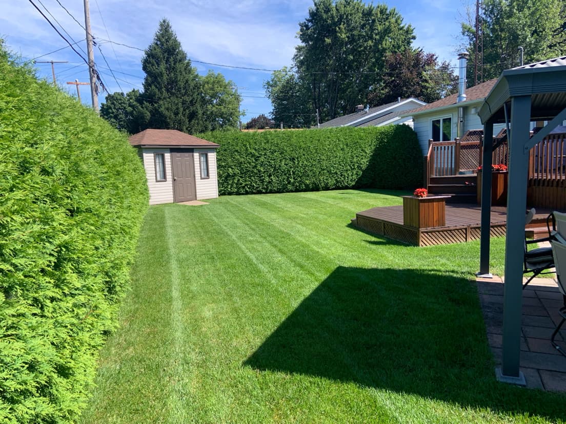 ENTRETIEN PAYSAGER 12