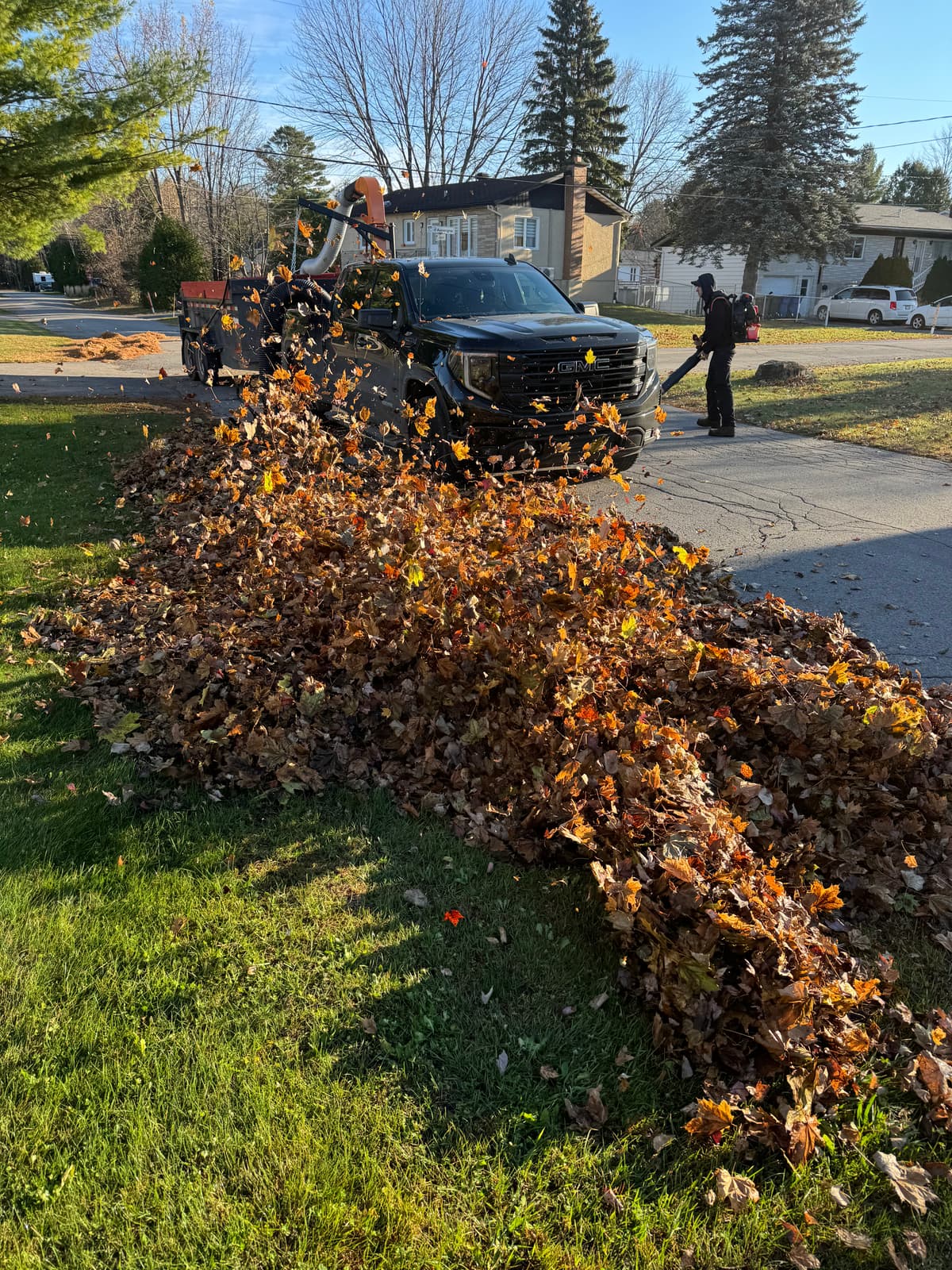 ENTRETIEN PAYSAGER 15