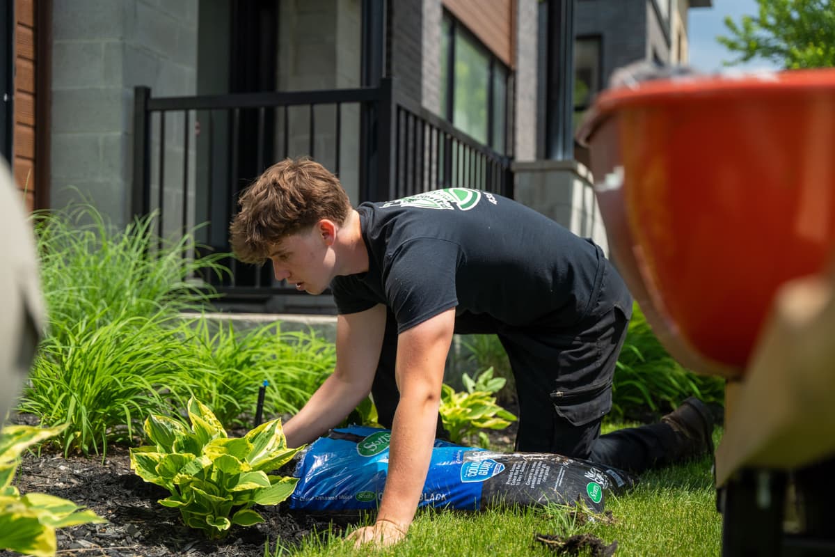 ENTRETIEN PAYSAGER 9