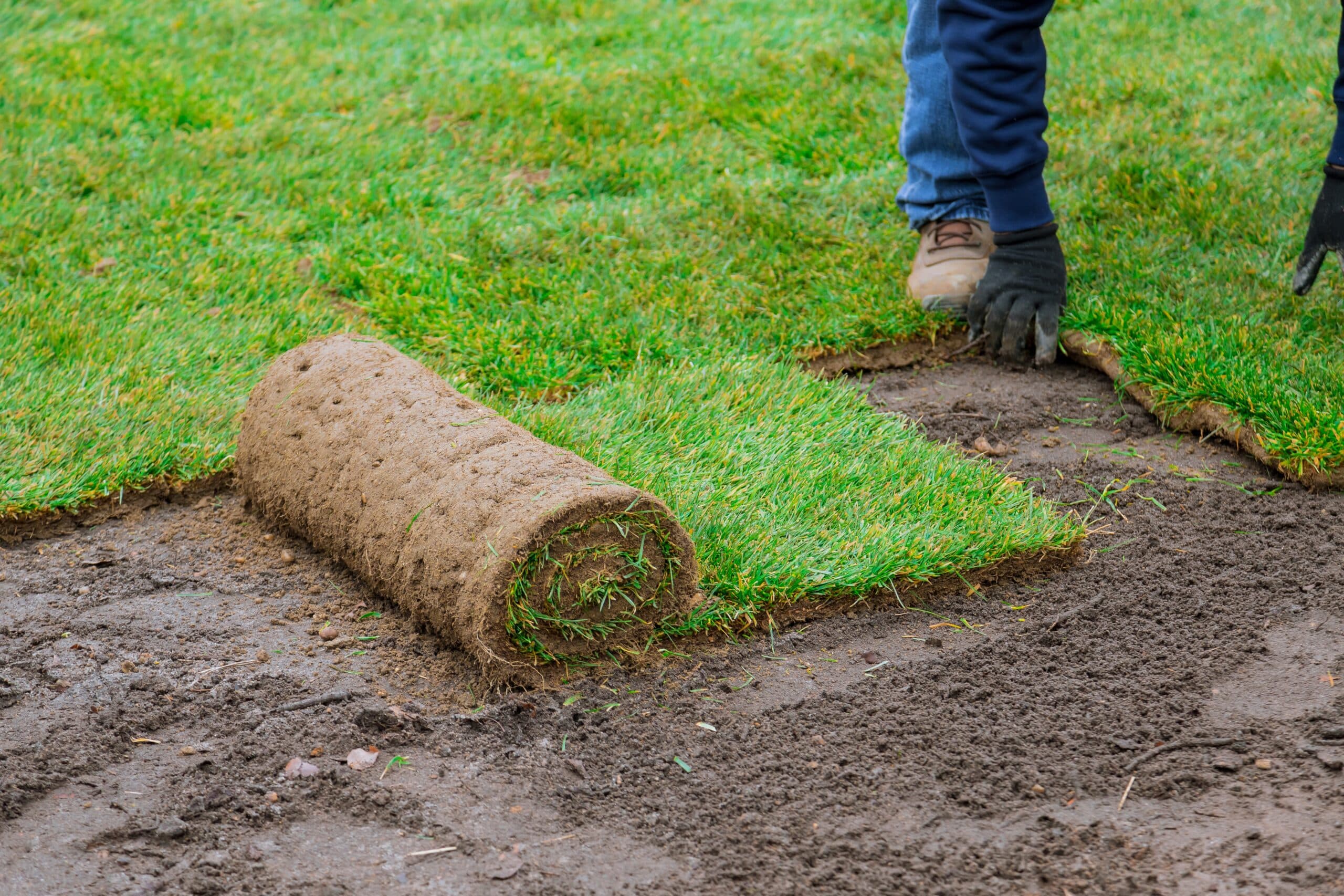 pose de tourbe paysagement clean cut entretien paysager votre jardin notre art